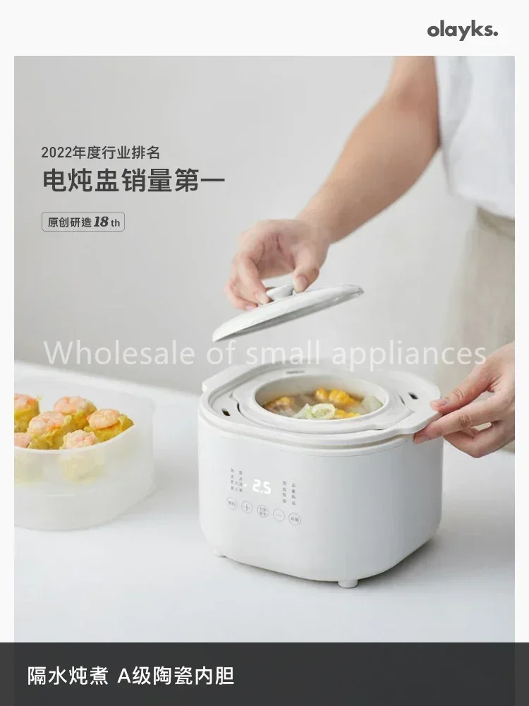 220V Small Electric Cooker, Ba - Baby Food Usa review and price