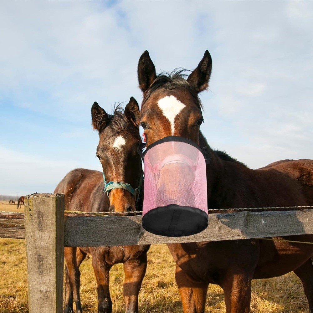 Multi-color Leak-Proof Horse F - Mesh Feeder Bag review and price
