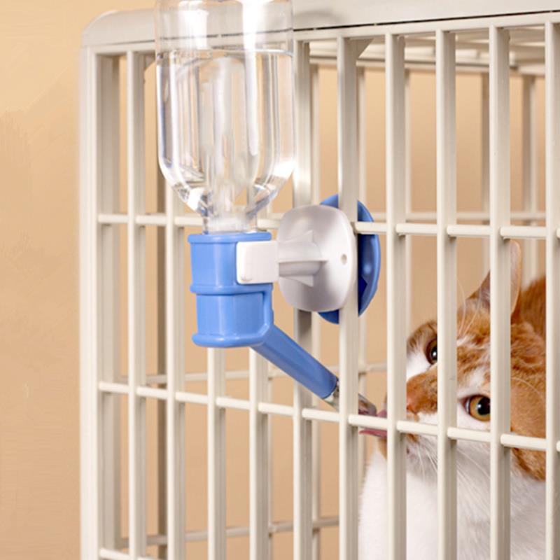 Pet Dog Cat Water Dispenser No - Baby Food Cat review and price