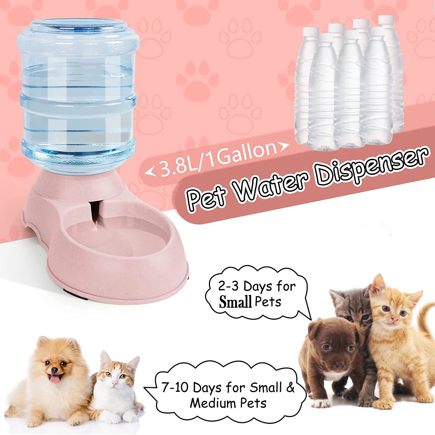 Automatic Water Dispenser Larg - Baby Food Cat review and price