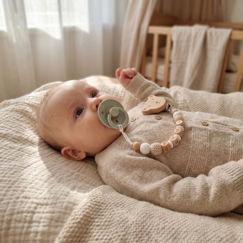 Personalized Pacifier Clip Cus - Baby Food Teether review and price