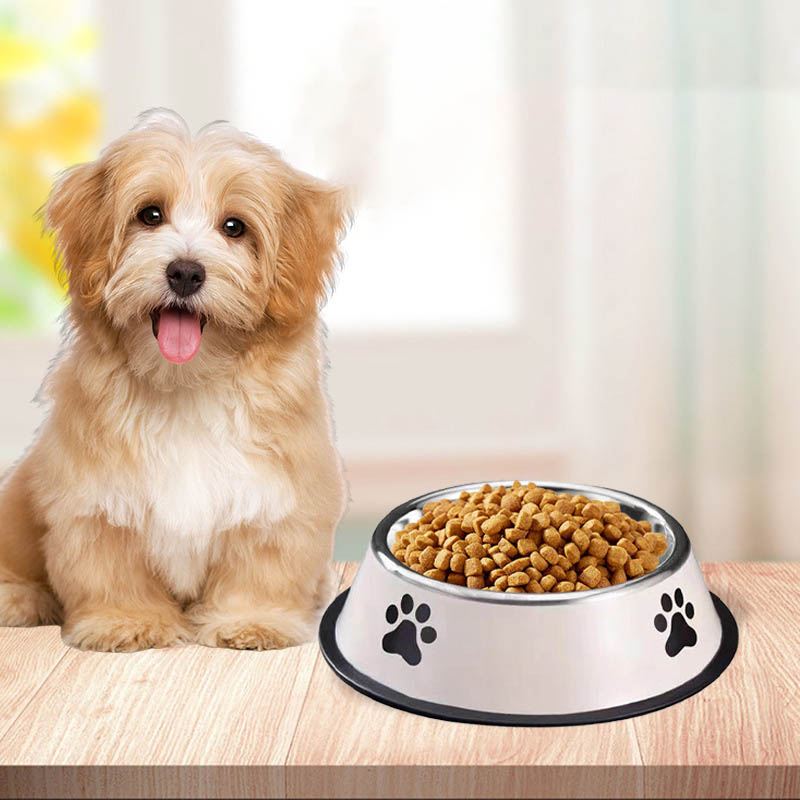 Stainless Steel Pet Bowl Cat B - Baby Food Cat review and price