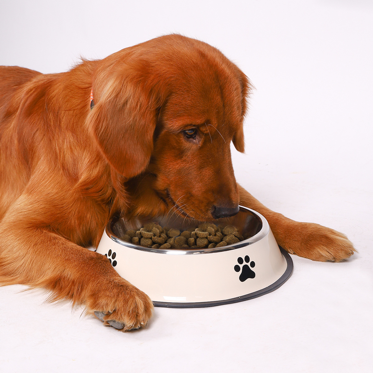 Stainless Steel Pet Bowl Cat B - Baby Food Cat review and price