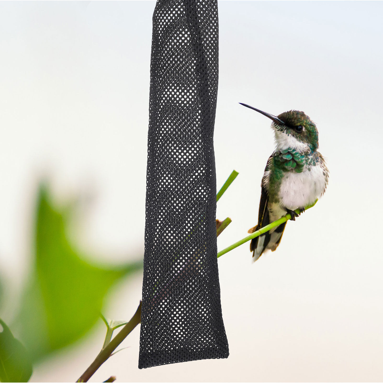 3Pcs Birds Feeding Bags Nylon  - Mesh Feeder Bag review and price