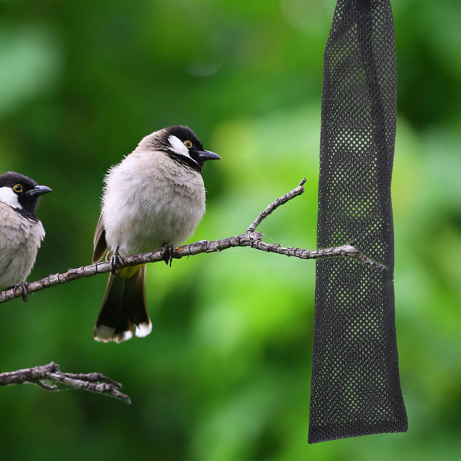 3Pcs Birds Feeding Bags Nylon  - Mesh Feeder Bag review and price